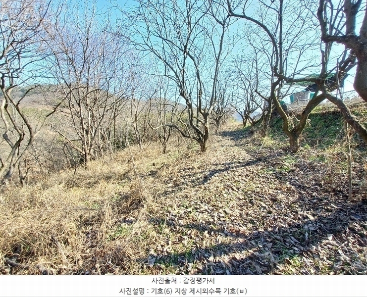 2024타경459 경상남도 사천시 곤양면 환덕리 1076-2 농지 경매 이미지