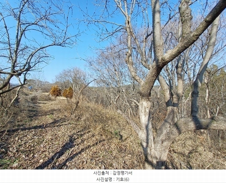 2024타경459 경상남도 사천시 곤양면 환덕리 1076-2 농지 경매 이미지
