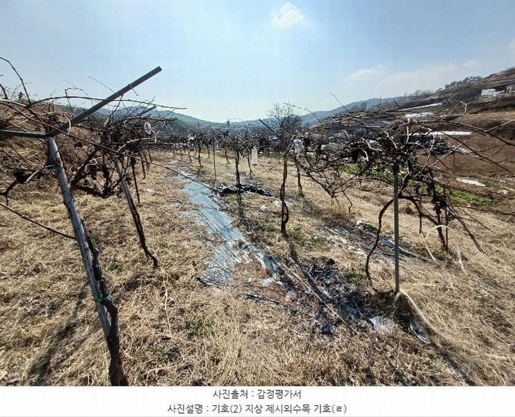 2024타경459 경상남도 사천시 곤양면 환덕리 986-2 농지 경매 이미지