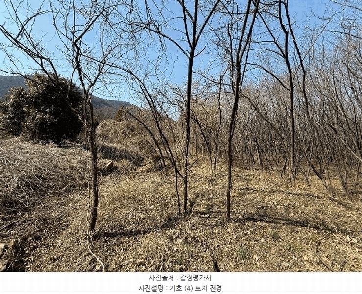 2025타경425 경상남도 산청군 신등면 모례리 674 농지 경매 이미지