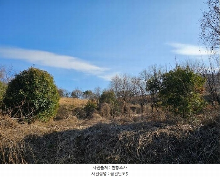 2025타경425 경상남도 산청군 신등면 모례리 674 농지 경매 이미지