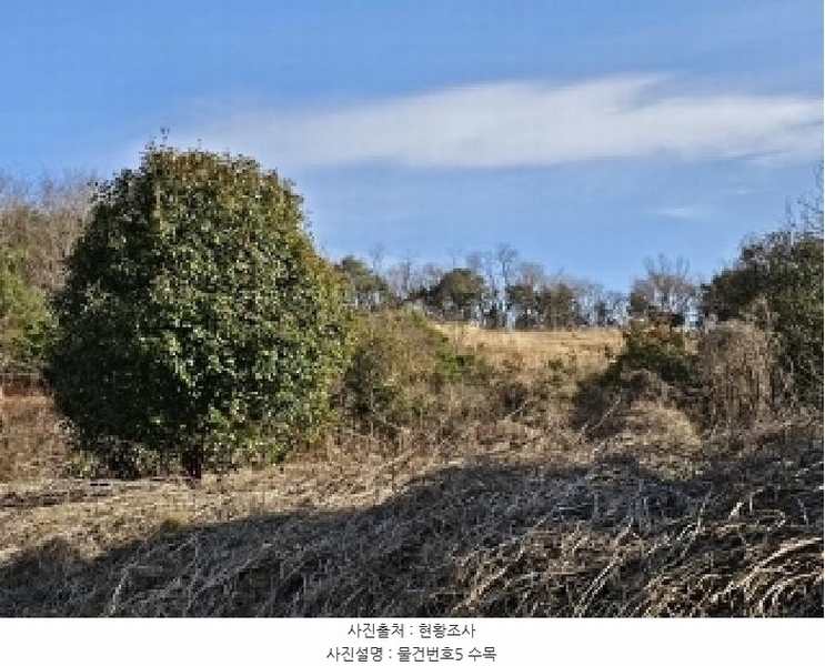 2025타경425 경상남도 산청군 신등면 모례리 674 농지 경매 이미지