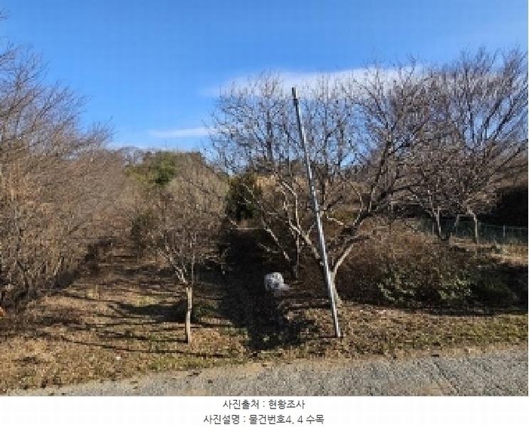 2025타경425 경상남도 산청군 신등면 모례리 674 농지 경매 이미지