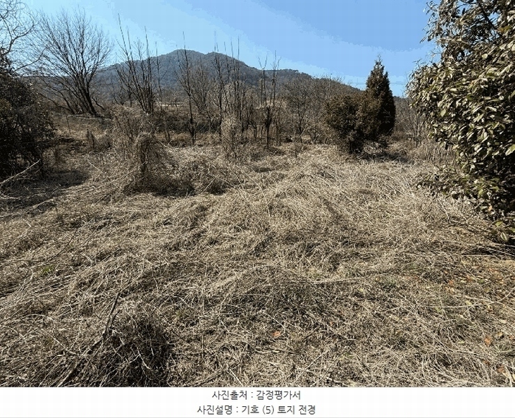 2025타경425 경상남도 산청군 신등면 모례리 674 농지 경매 이미지