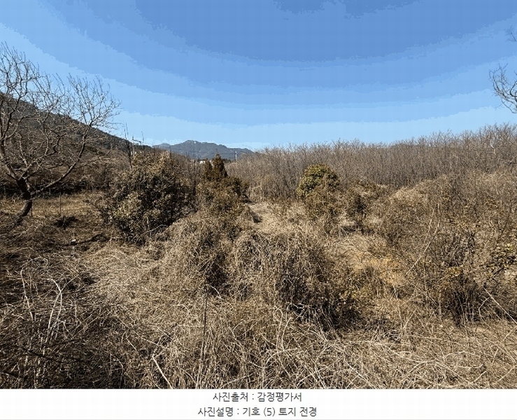 2025타경425 경상남도 산청군 신등면 모례리 674 농지 경매 이미지