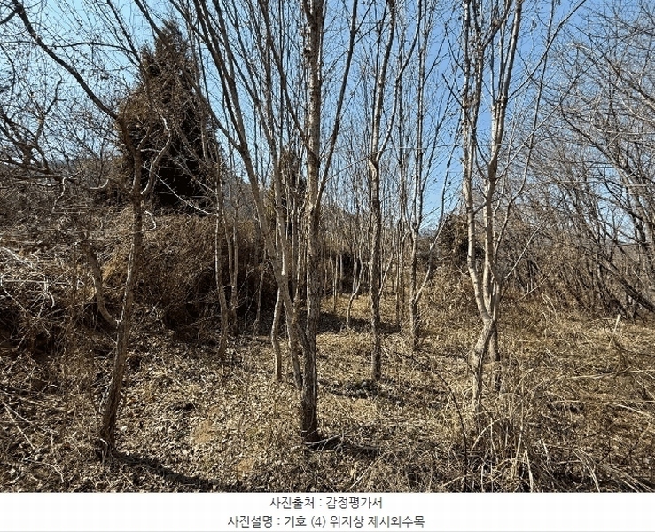 2025타경425 경상남도 산청군 신등면 모례리 674 농지 경매 이미지