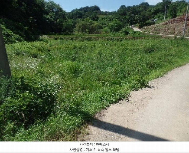 2025타경441 충청남도 논산시 벌곡면 조동리 323-2 농지 경매 이미지