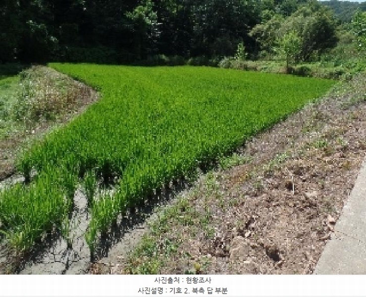 2025타경441 충청남도 논산시 벌곡면 조동리 323-2 농지 경매 이미지