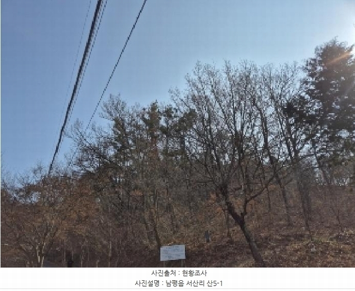 2025타경31976 전라남도 나주시 남평읍 서산리 산5-1 임야 경매 이미지