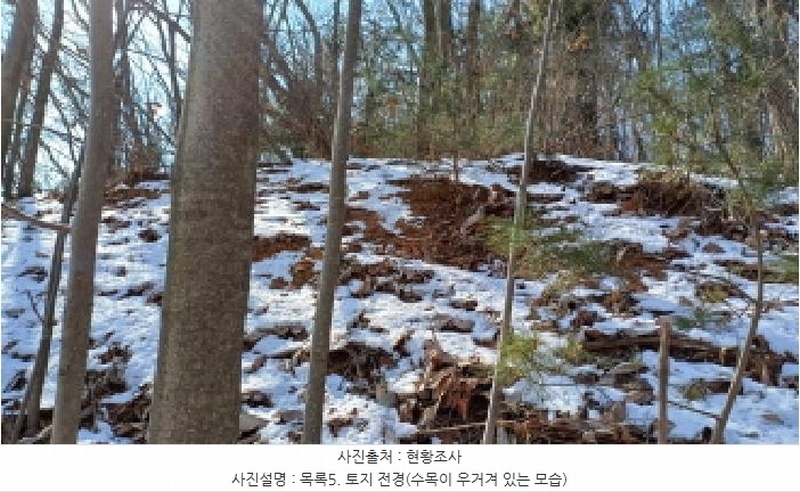 2024타경87584 경기도 남양주시 조안면 삼봉리 산9-97 임야 경매 이미지