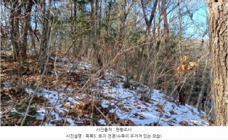 2024타경87584 경기도 남양주시 조안면 삼봉리 산9-97 임야 경매 이미지