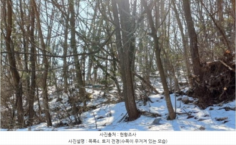 2024타경87584 경기도 남양주시 조안면 삼봉리 산9-97 임야 경매 이미지