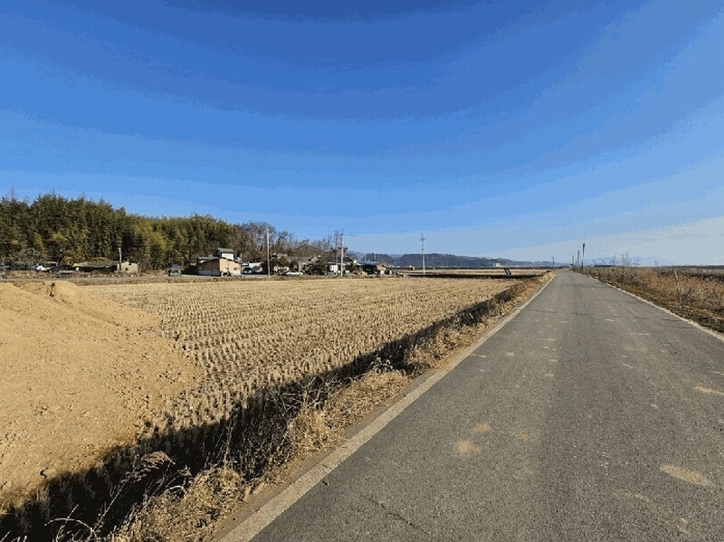 2025타경750 전라남도 보성군 벌교읍 영등리 1473-2 농지 경매 이미지