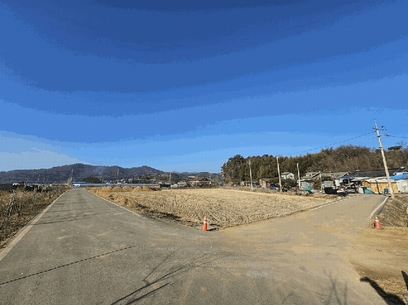2025타경750 전라남도 보성군 벌교읍 영등리 1473-2 농지 경매 이미지