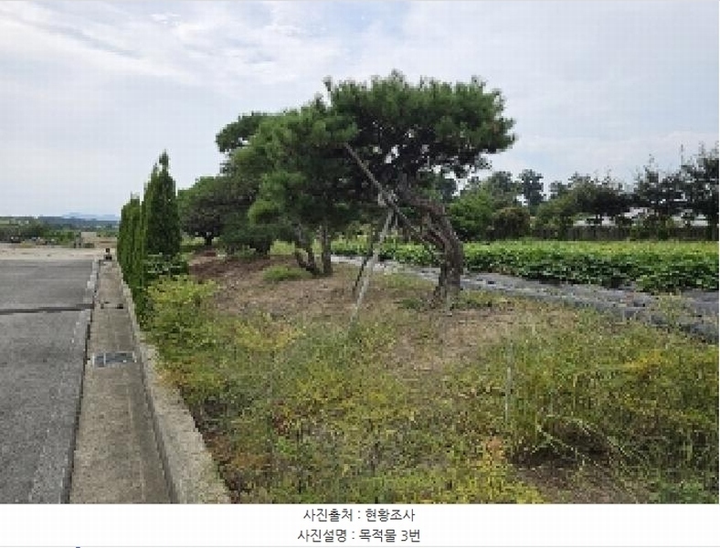2025타경2060 충청북도 충주시 동량면 용교리 210-19 농지 경매 이미지