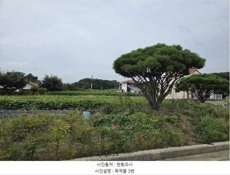 2025타경2060 충청북도 충주시 동량면 용교리 210-19 농지 경매 이미지