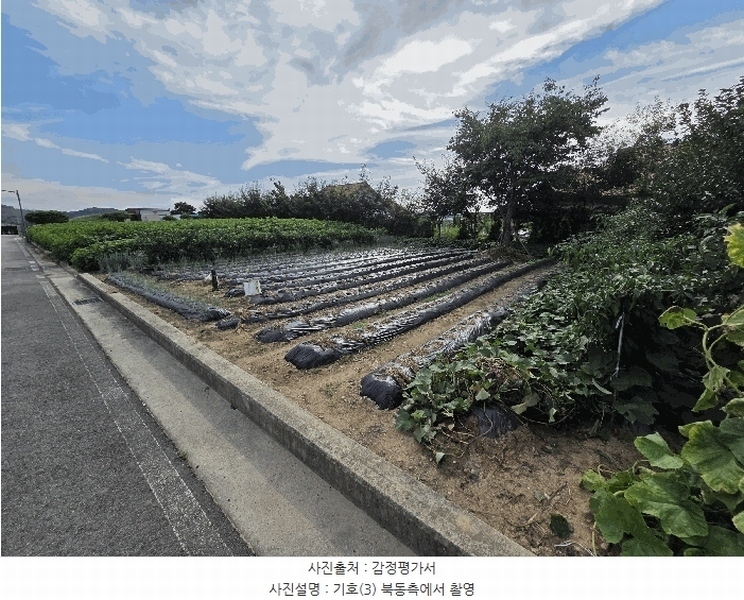 2025타경2060 충청북도 충주시 동량면 용교리 210-19 농지 경매 이미지