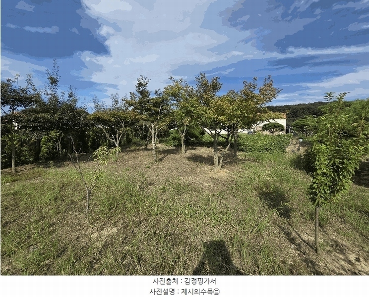 2025타경2060 충청북도 충주시 동량면 용교리 210-19 농지 경매 이미지