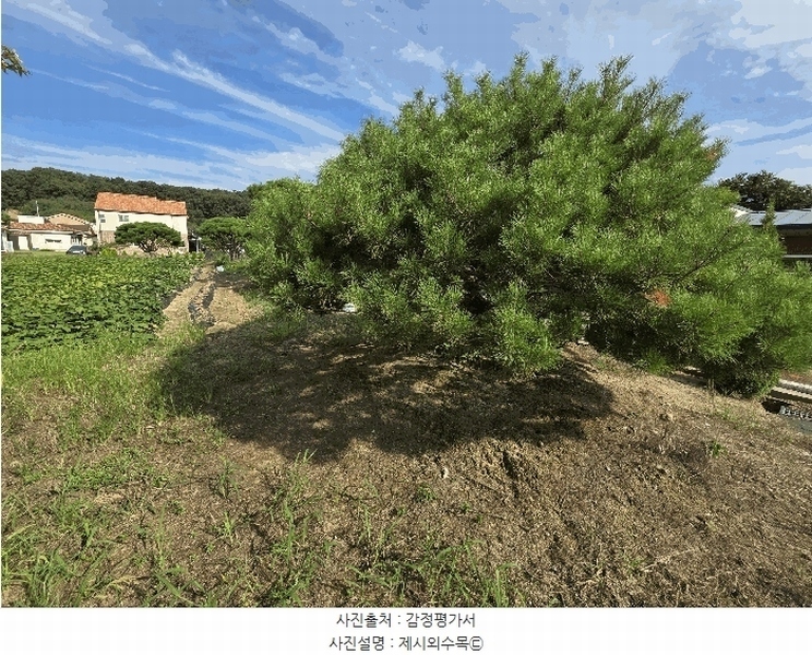 2025타경2060 충청북도 충주시 동량면 용교리 210-19 농지 경매 이미지
