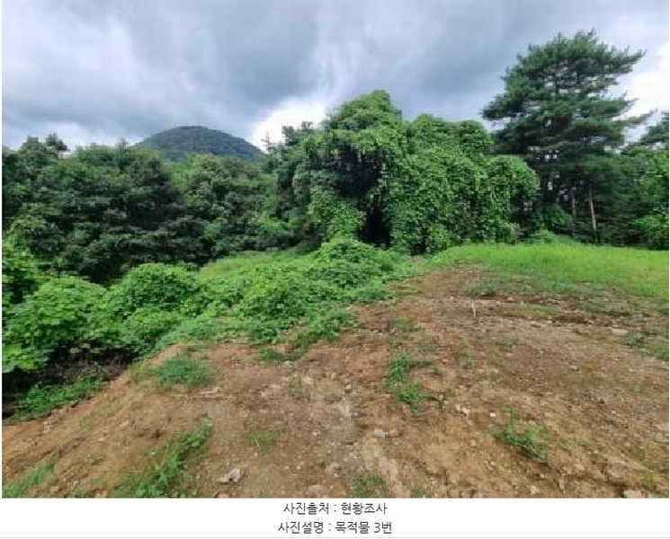 2025타경30727 충청북도 충주시 동량면 화암리 386-5 농지 경매 이미지