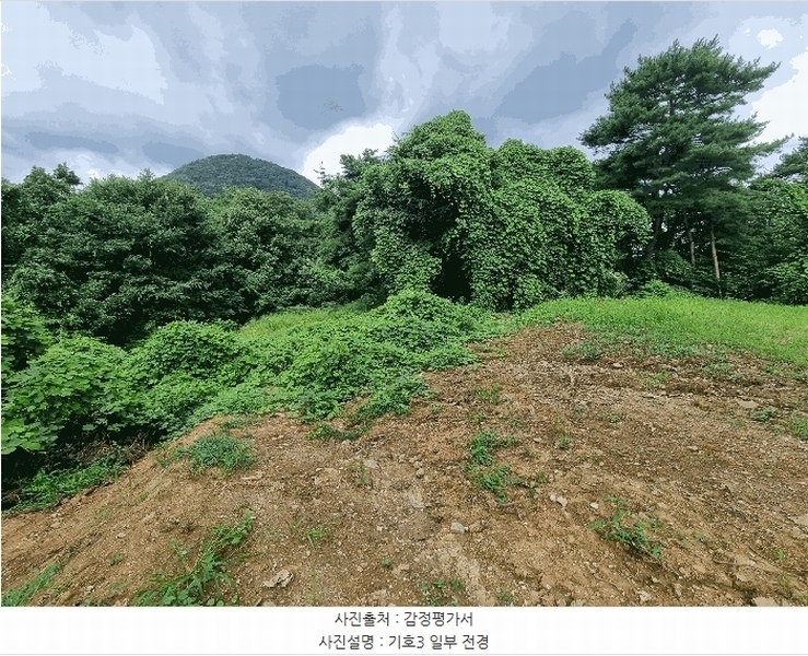 2025타경30727 충청북도 충주시 동량면 화암리 386-5 농지 경매 이미지