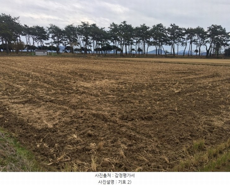 2024타경55429 전라남도 해남군 북일면 내동리 974-1 농지 경매 이미지