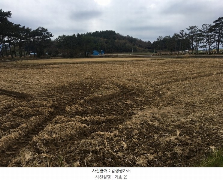 2024타경55429 전라남도 해남군 북일면 내동리 974-1 농지 경매 이미지