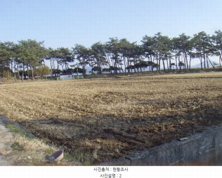 2024타경55429 전라남도 해남군 북일면 내동리 974-1 농지 경매 이미지