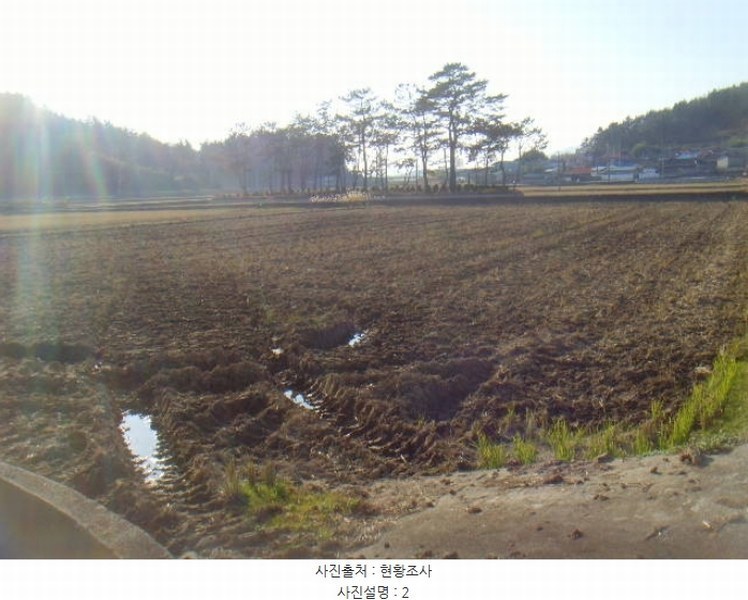 2024타경55429 전라남도 해남군 북일면 내동리 974-1 농지 경매 이미지