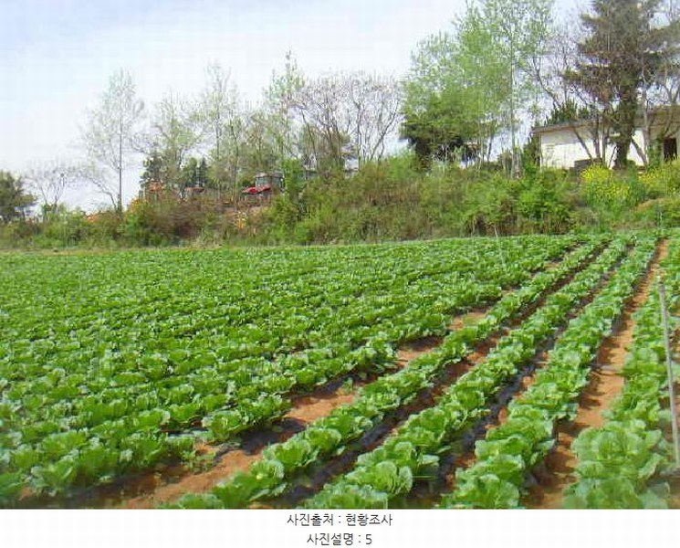 2025타경50433 전라남도 해남군 산이면 부동리 290-1 공장 경매 이미지
