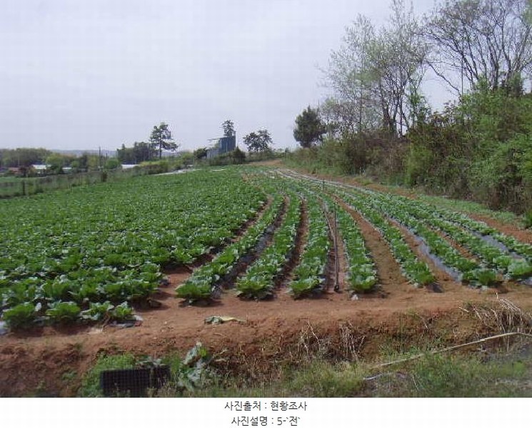 2025타경50433 전라남도 해남군 산이면 부동리 290-1 공장 경매 이미지