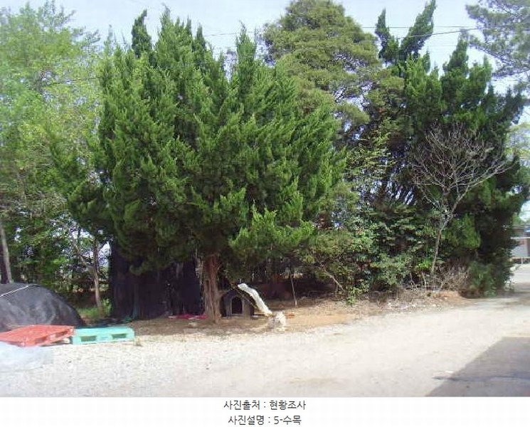 2025타경50433 전라남도 해남군 산이면 부동리 290-1 공장 경매 이미지