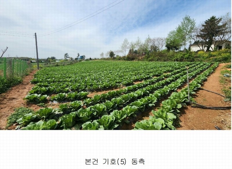 2025타경50433 전라남도 해남군 산이면 부동리 290-1 공장 경매 이미지