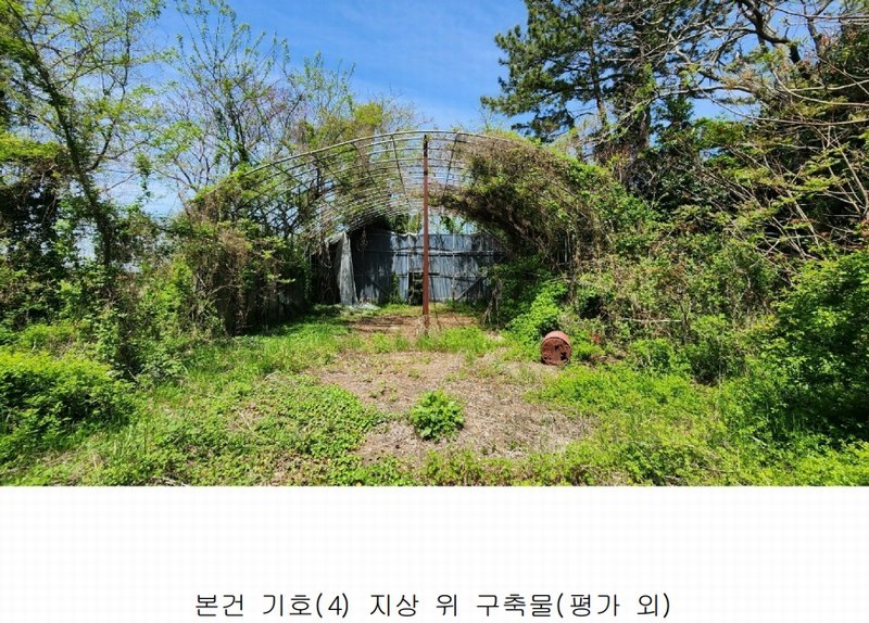 2025타경50433 전라남도 해남군 산이면 대진리 757-11 임야 경매 이미지