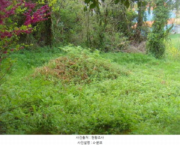 2025타경50433 전라남도 해남군 산이면 대진리 757-11 임야 경매 이미지