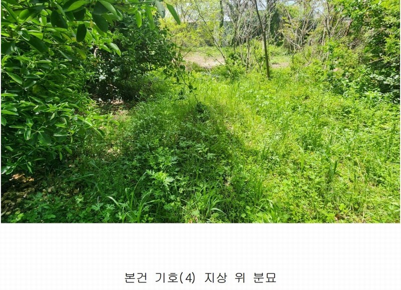 2025타경50433 전라남도 해남군 산이면 대진리 757-11 임야 경매 이미지
