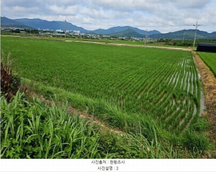 2025타경50508 전라남도 해남군 해남읍 남천리 969-5 농지 경매 이미지