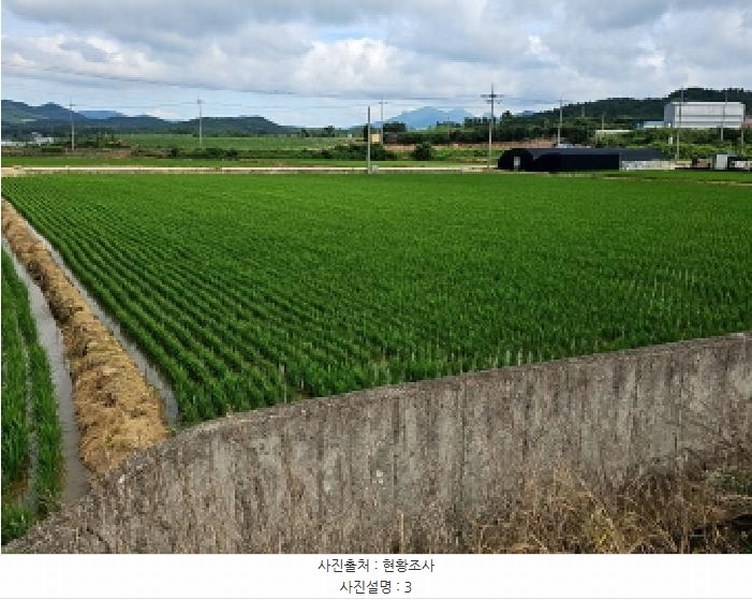 2025타경50508 전라남도 해남군 해남읍 남천리 969-5 농지 경매 이미지