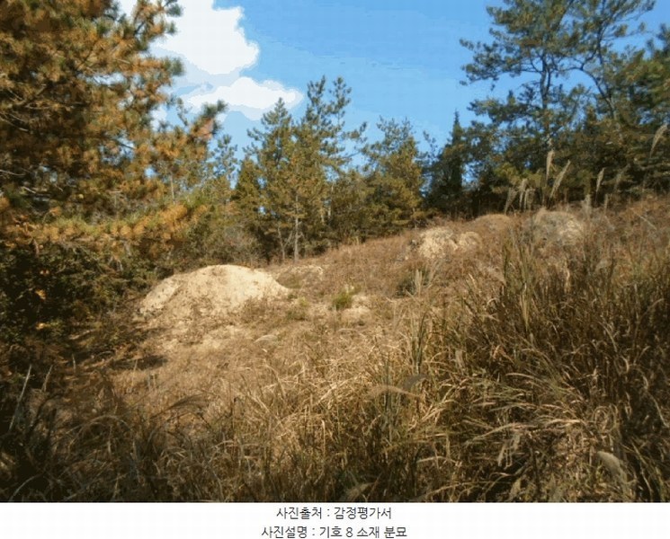 2025타경50694 전라남도 해남군 문내면 석교리 산220 임야 경매 이미지
