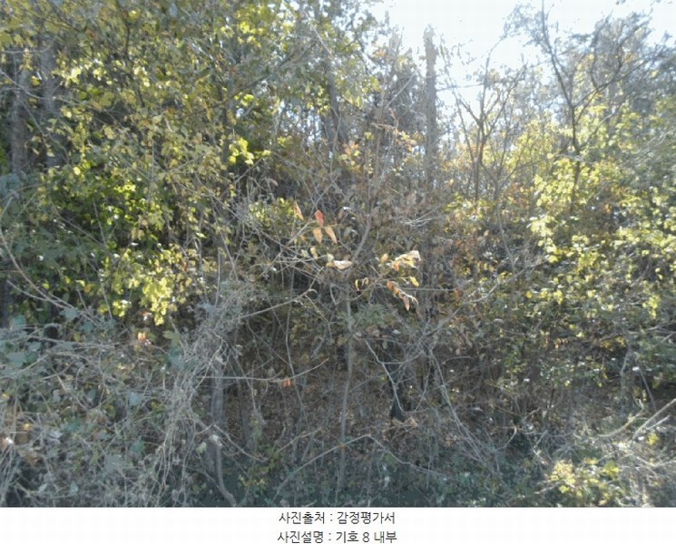2025타경50694 전라남도 해남군 문내면 석교리 산220 임야 경매 이미지