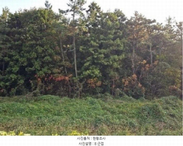 2025타경50694 전라남도 해남군 문내면 석교리 산220 임야 경매 이미지
