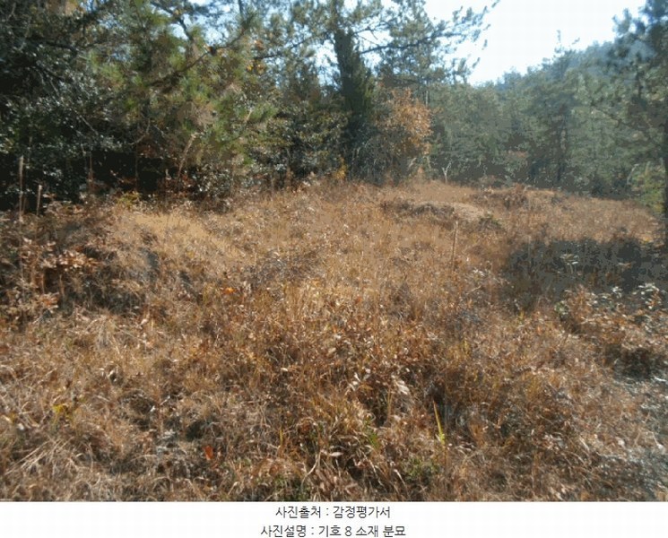 2025타경50694 전라남도 해남군 문내면 석교리 산220 임야 경매 이미지