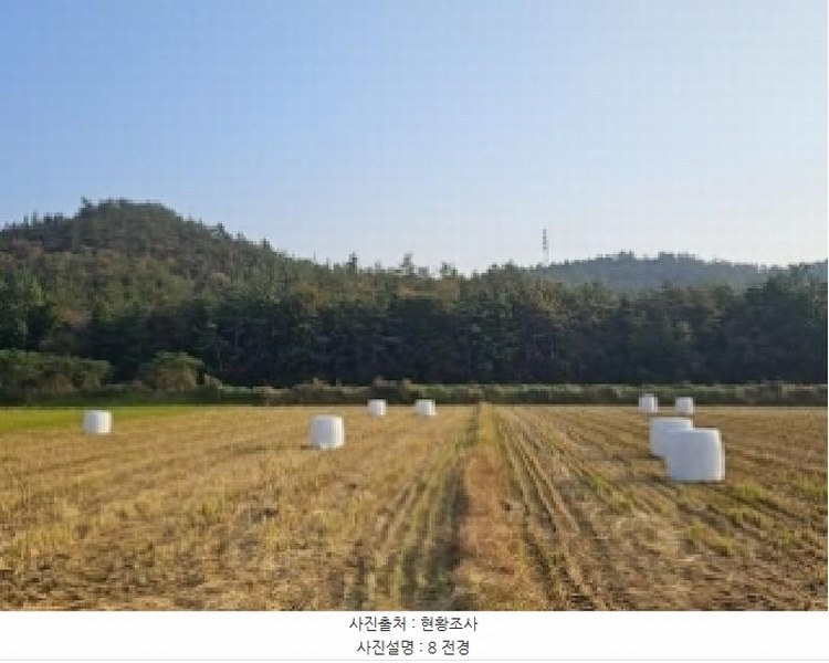 2025타경50694 전라남도 해남군 문내면 석교리 산220 임야 경매 이미지