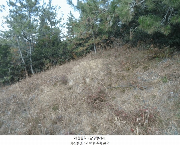 2025타경50694 전라남도 해남군 문내면 석교리 산220 임야 경매 이미지