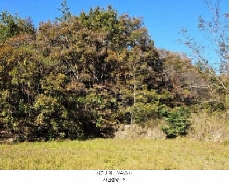 2025타경50694 전라남도 해남군 황산면 일신리 산107-1 임야 경매 이미지