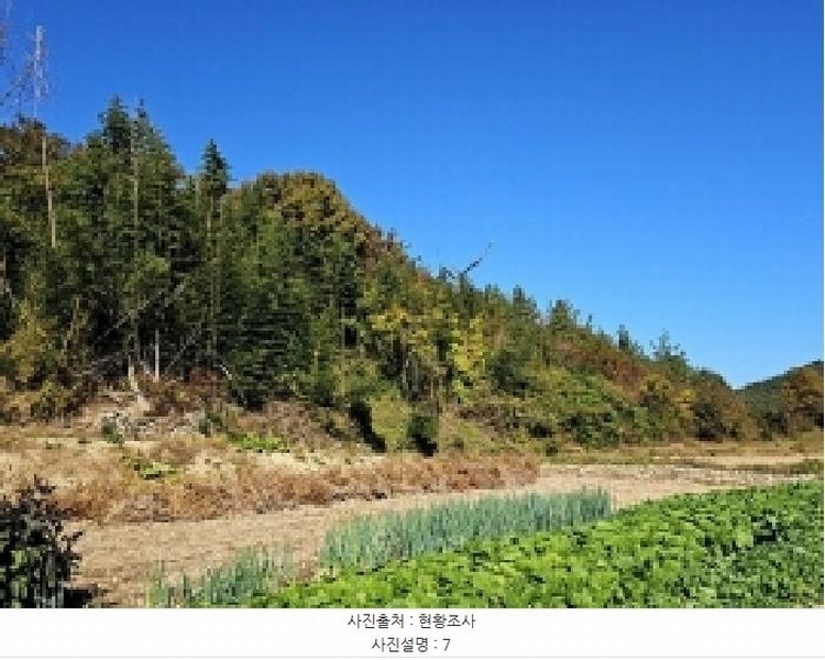 2025타경50694 전라남도 해남군 황산면 일신리 산107-1 임야 경매 이미지