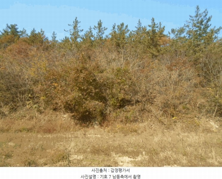 2025타경50694 전라남도 해남군 황산면 일신리 산107-1 임야 경매 이미지