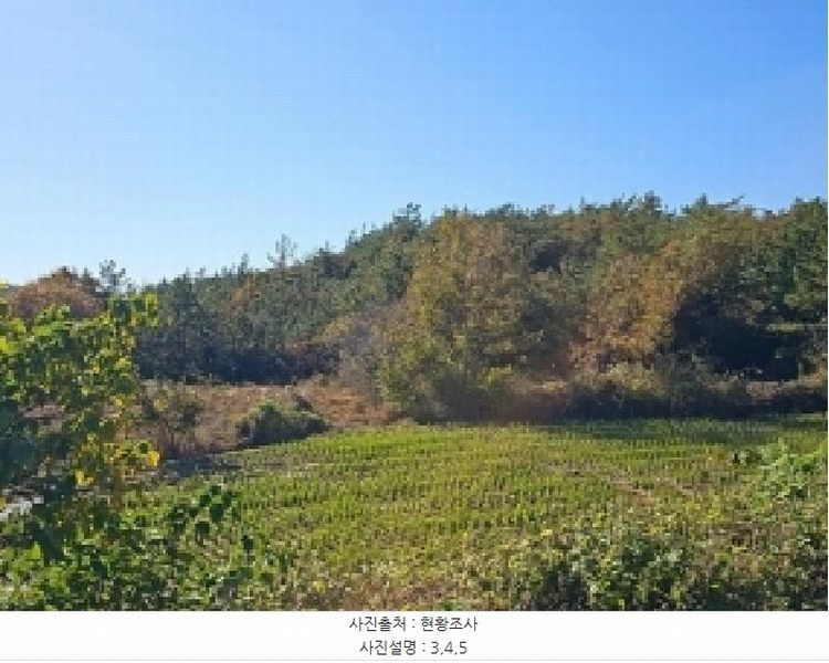2025타경50694 전라남도 해남군 황산면 일신리 산107-1 임야 경매 이미지