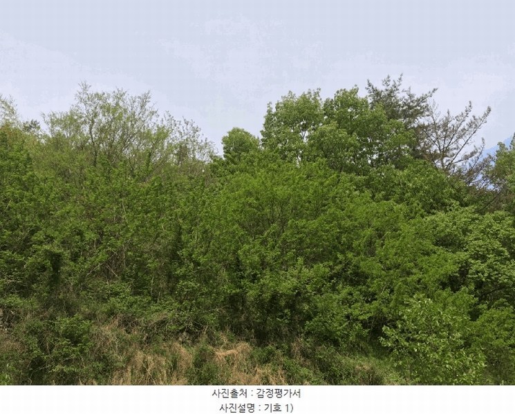 2025타경51324 전라남도 순천시 해룡면 상내리 108 농지 경매 이미지