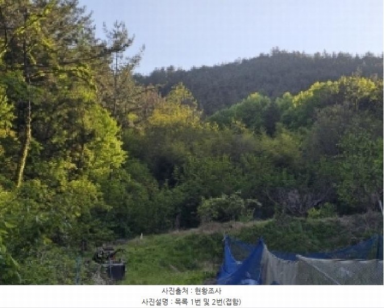 2025타경51324 전라남도 순천시 해룡면 상내리 108 농지 경매 이미지